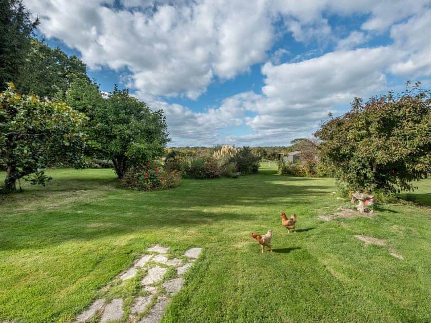 Lawned garden area | Grange Farm Holiday’s - Red Squirrel Lodge - Grange Farm Holidays, Wootton, near Ryde