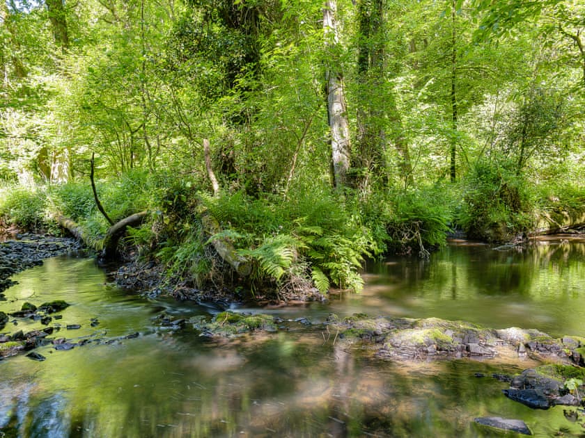 Tranquil surroundings  | Ash Mill Cabin, Ashreigney, near Chulmleigh