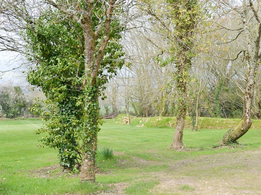 Well established mature gardens | The Wheel House, East Hill, near Ottery St Mary