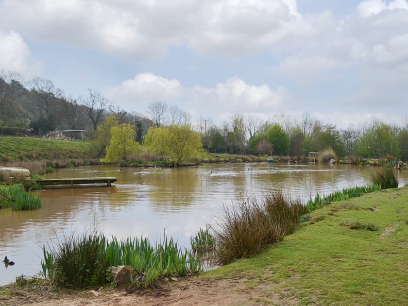 Large pond on-site with wild ducks  | The Wheel House, East Hill, near Ottery St Mary