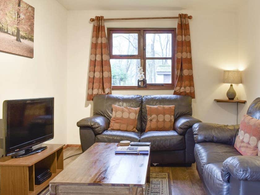 Inviting living area | Oak Lodge - Eversleigh Woodland Lodges, Shadoxhurst, near Ashford