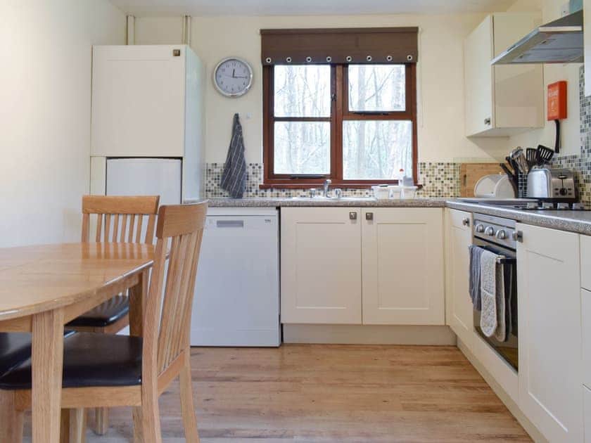 Well-equipped fitted kitchen | Silver Birch Lodge - Eversleigh Woodland Lodges, Shadoxhurst, near Ashford