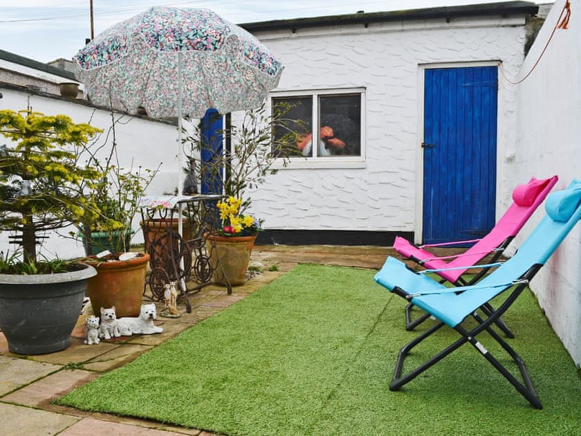 Garden | Seagulls, Holyhead