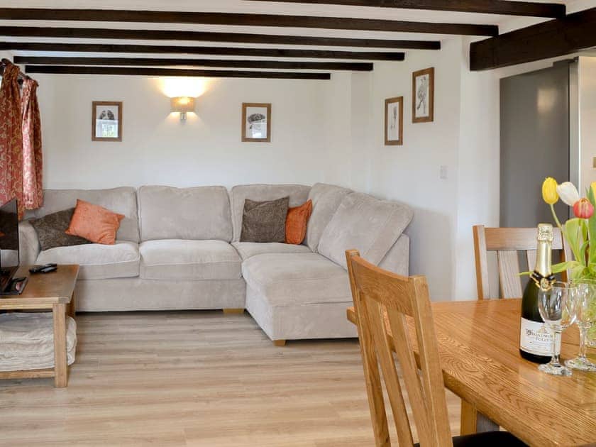 Comfy living area | Heath Farm Cottages - Cowslip - Heath Farm , Bradworthy, near Hartland