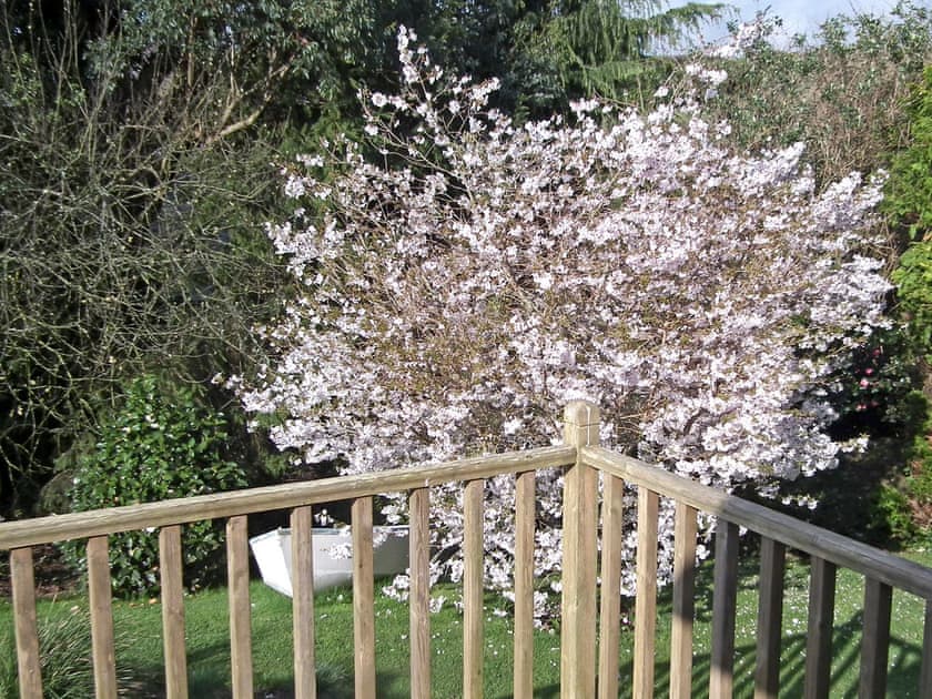 Beautiful garden | Moonrakers, Ruan Lanihorne, near Truro