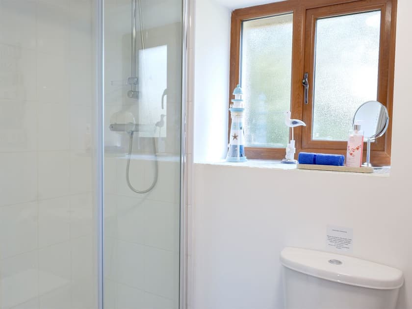 Shower room | Hen Llaeth - Blaenhirbant Isaf Cottages, Cwmsychpant, near Lampeter