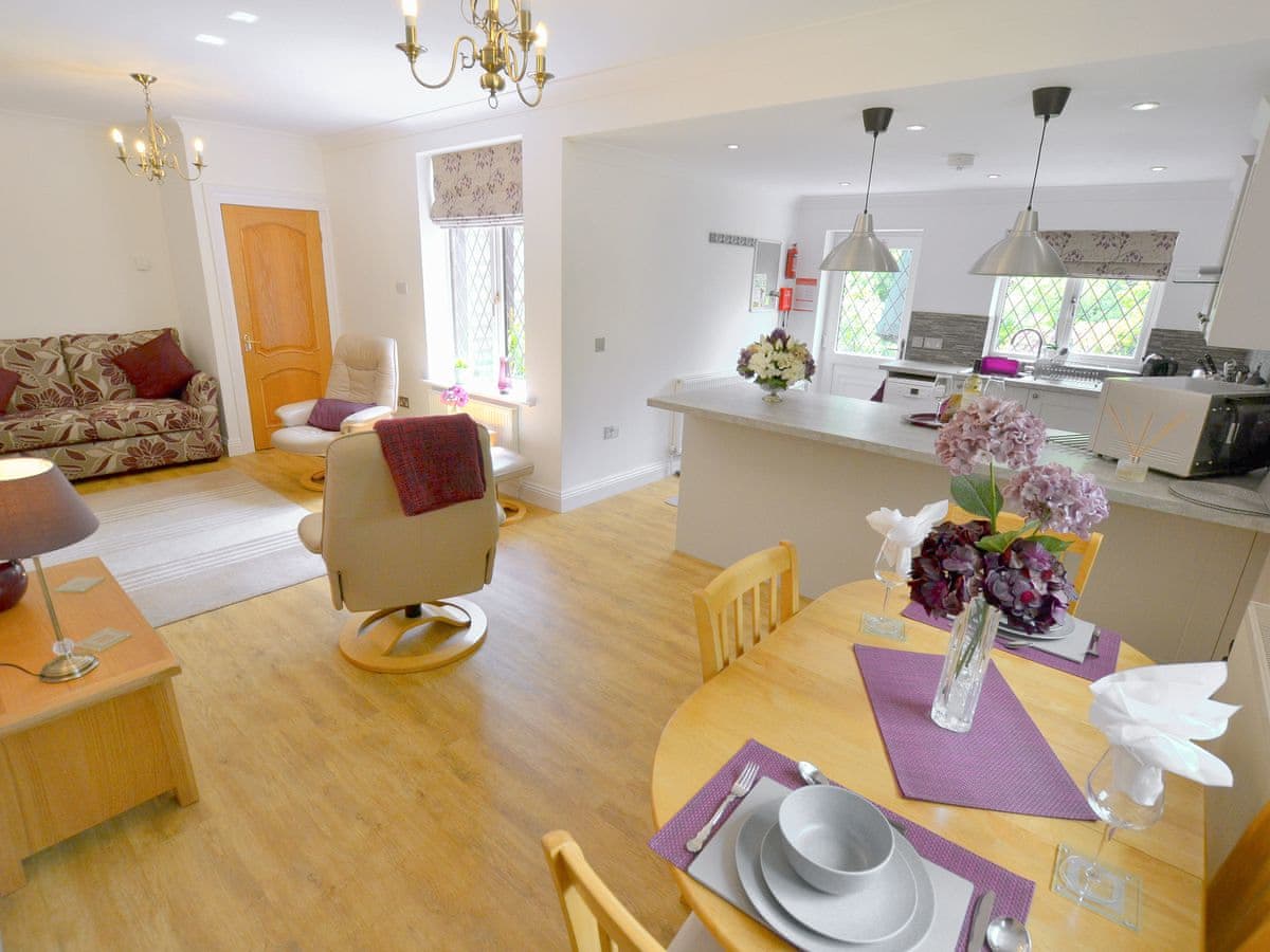 New Forest Cottages - Alice's Lodge - Holiday lodge in Southern England - Image 3