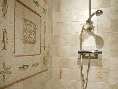 Typical en-suite shower room | Clearvewe, Llangwm, near Usk