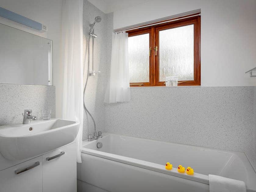 Family bathroom with shower over bath | Coot - Daisy Broad Lodges, Wroxham
