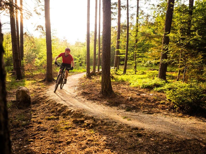 Mountain bike around Grizedale Forest  | Hidden Cottage, Lowick, near Coniston