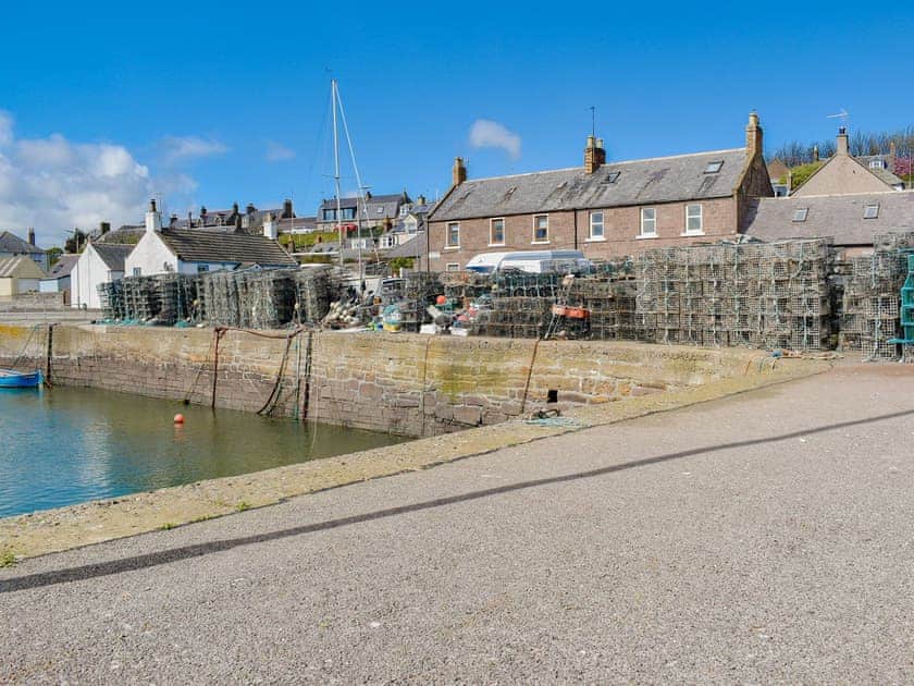 Surrounding area | Seashore Retreat, Johnshaven, near Montrose