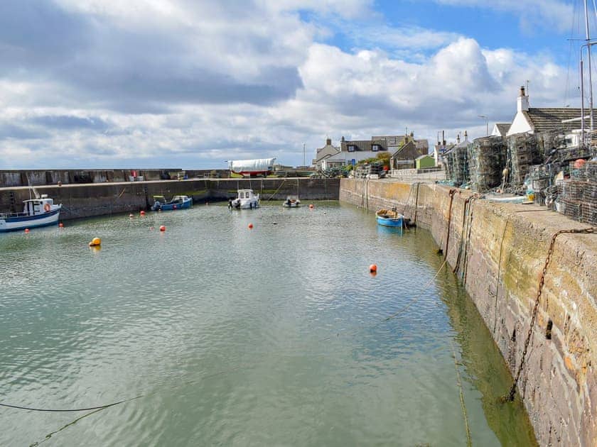 Surrounding area | Seashore Retreat, Johnshaven, near Montrose