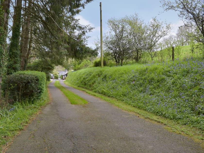 Driveway | Tucking Cottage, Treffgarne, near Haverfordwest
