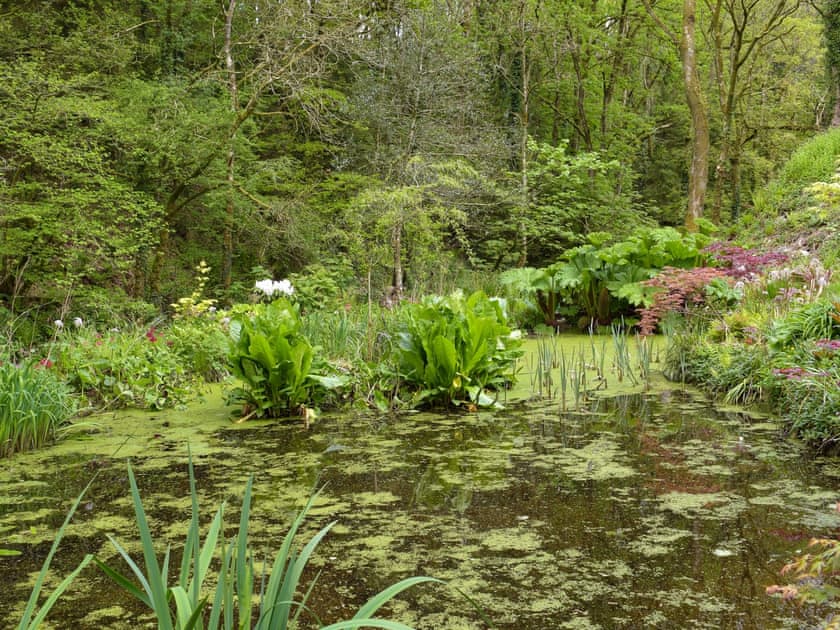 Picturesque surrounding area | Tucking Cottage, Treffgarne, near Haverfordwest