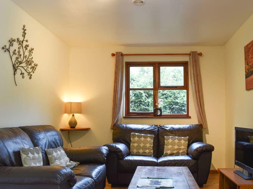 Open plan living space | Eversleigh Woodland Lodge - Ash Lodge - Eversleigh Woodland Lodges, Shadoxhurst, near Ashford