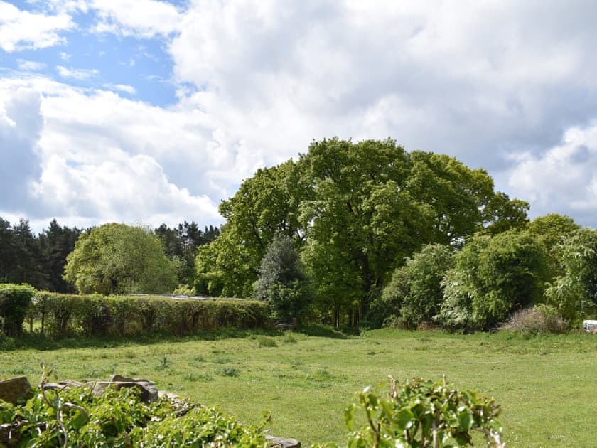 Picturesque rural view | Oak Tree Cottage, Brierley