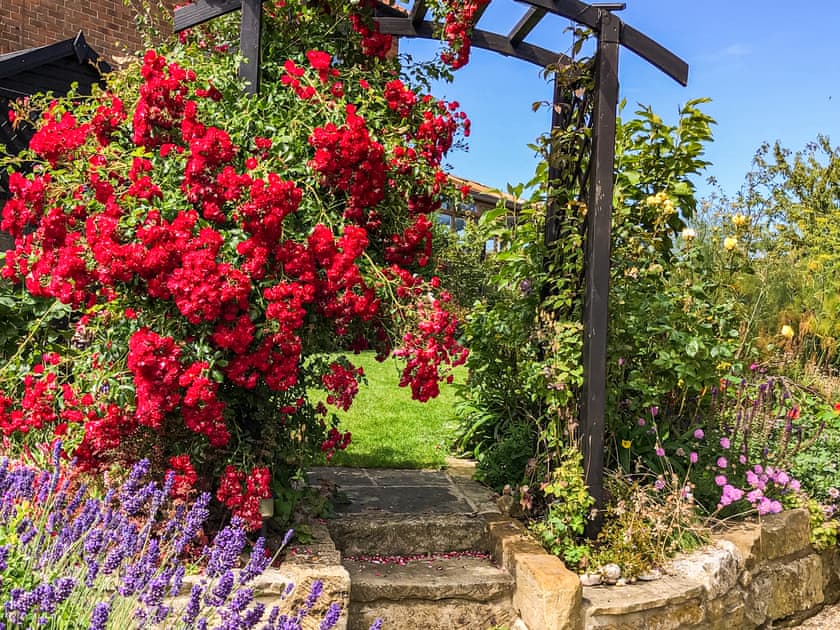 Lovely vegetable garden | Rose Cottage, Fylingthorpe, near Whitby