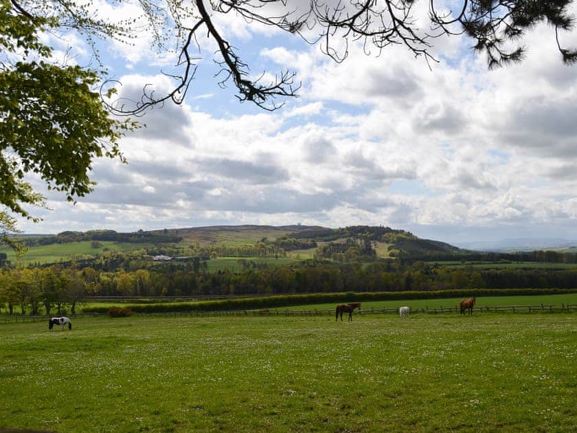 Rural Views | Paddock Cottage - Heckley Farm Cottages, near Alnwick