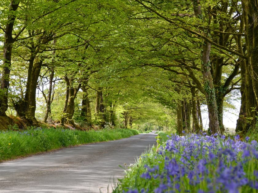 Surrounding area | Willow Cottage, Woolfardisworthy, near Bideford