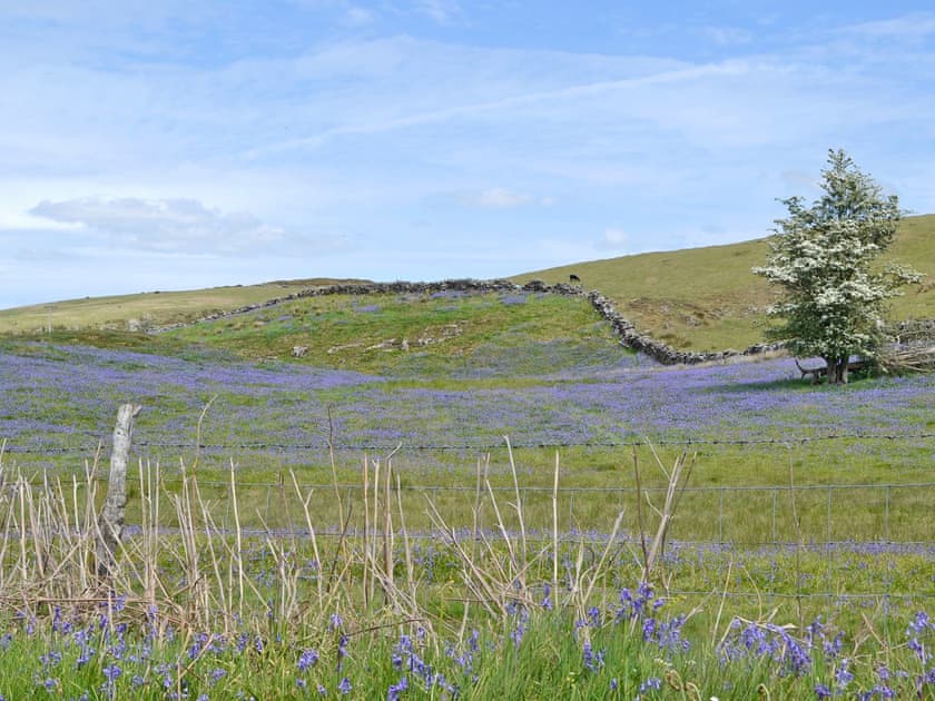 Beautiful surrounding area | Sweet Meadow Lodge, Bluebell Lodge - The Lodges, Howey, near Llandrindod Wells
