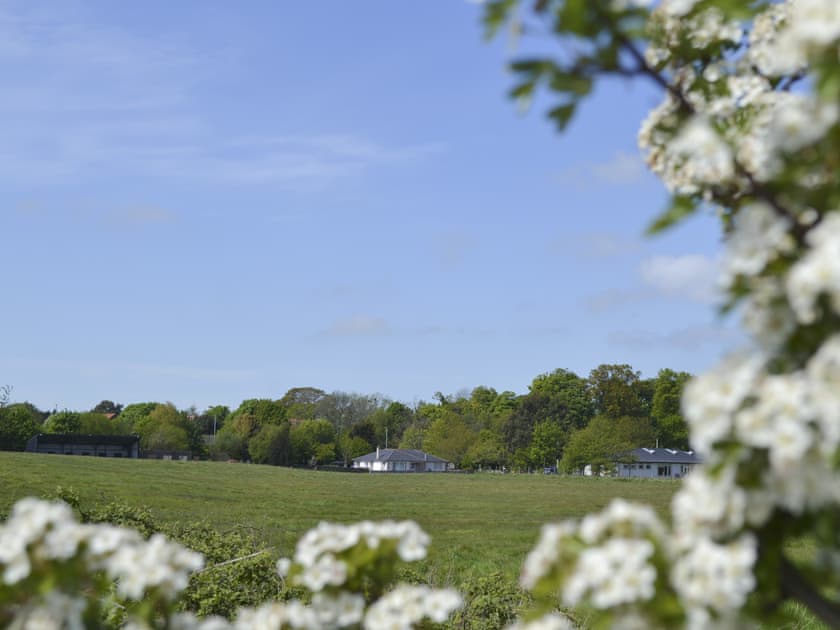 Nestling in beautiful surroundings | Fairways Cottage, Belford, near Bambugh