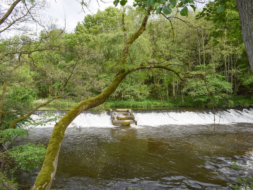 Beautiful surrounding area | Bridge End Lodge, Dollar, near Stirling