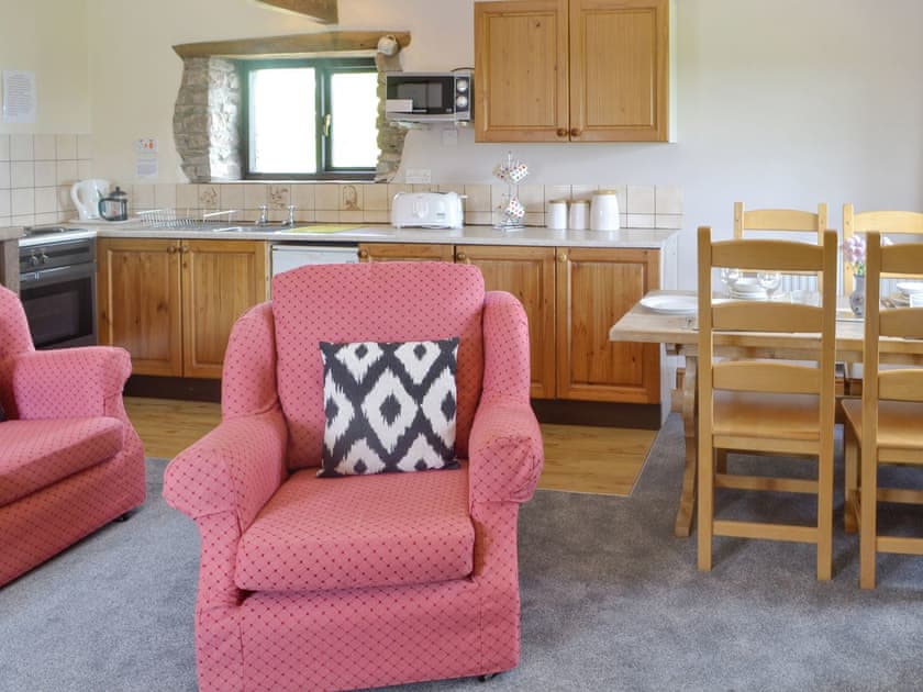Convenient open-plan living space | Mountain View - Cefncoedbach Farm, Sarnau, near Brecon