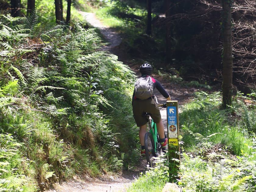Beast of Bodmin mountain bike trail | Ladyvale Barn, Cardinham, near Bodmin