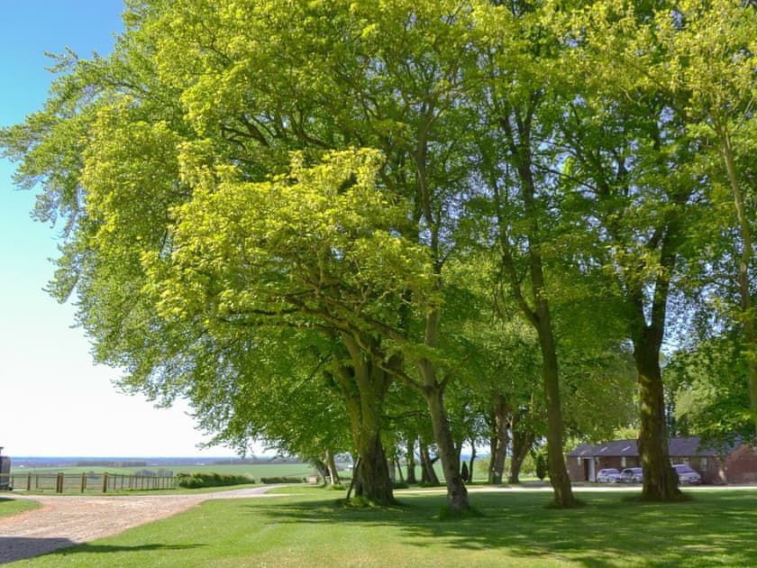 Garden and grounds | The Hind House, Cottam, near Driffield