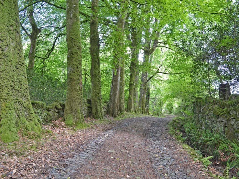 In an Idyllic setting  | Bagtor Hayloft, Ilsington, near Newton Abbot