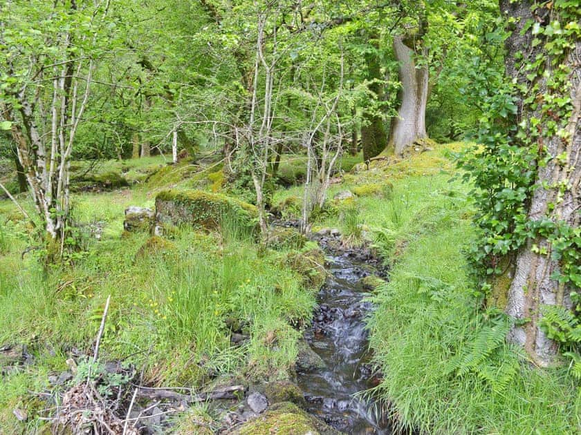In an Idyllic setting  | Bagtor Hayloft, Ilsington, near Newton Abbot
