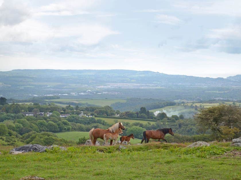 Stunning view across Dartmoor  | Bagtor Hayloft, Ilsington, near Newton Abbot