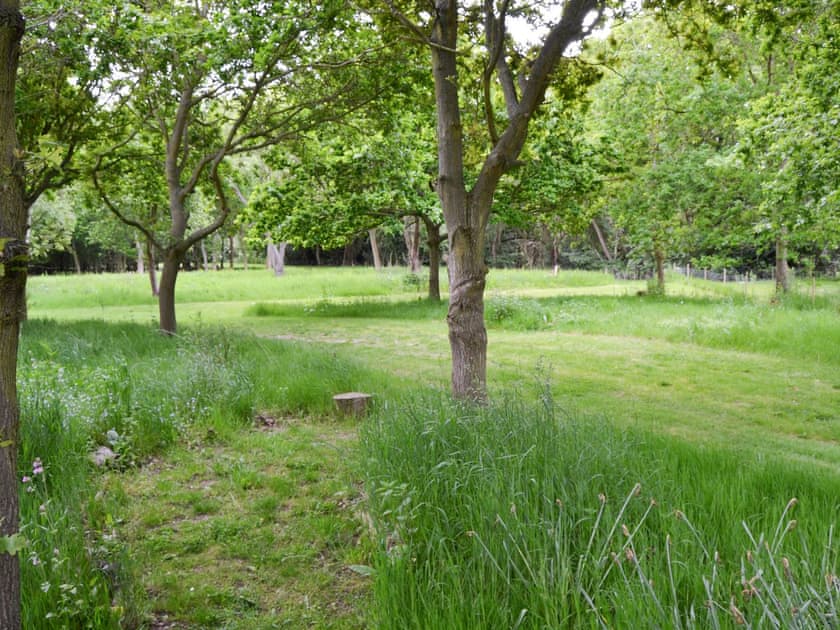 Extensive shared gardens | Oak View Loft - Stone House Farm, Lessingham, near Stalham