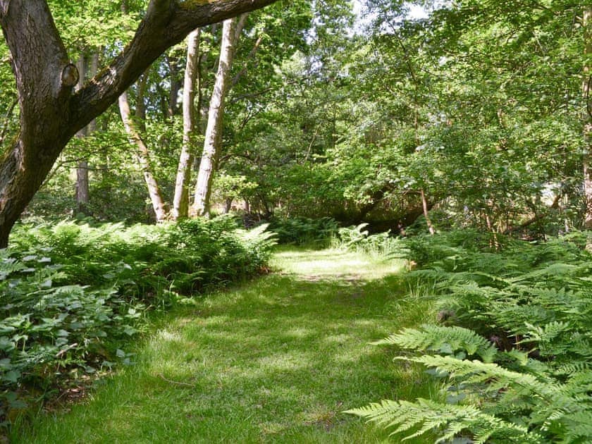 Shared gardens and grounds | Oak View Loft - Stone House Farm, Lessingham, near Stalham