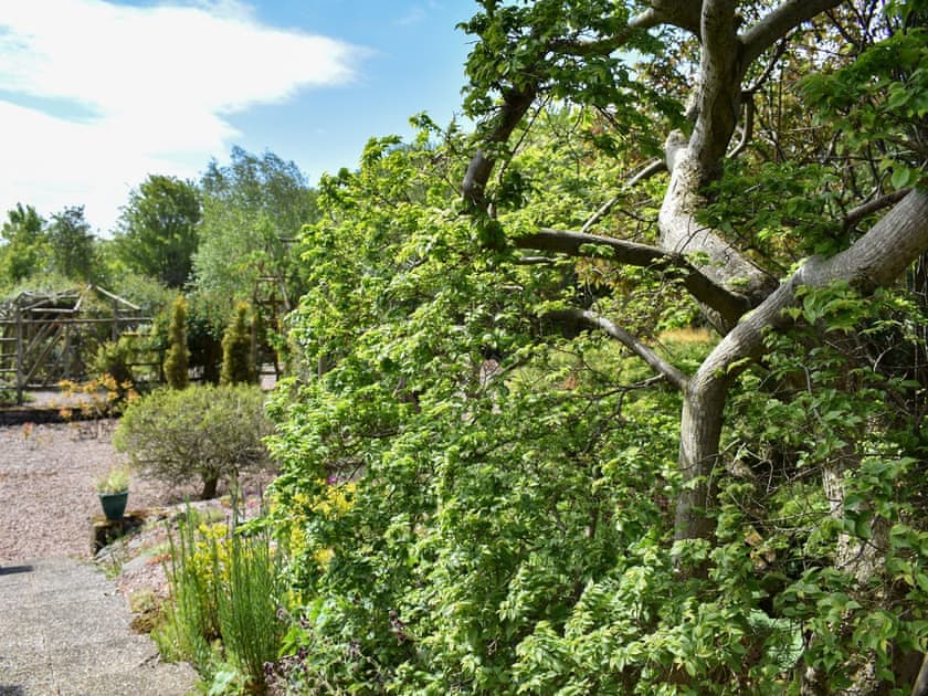 Garden and grounds | Middle Lodge, Near Mintlaw