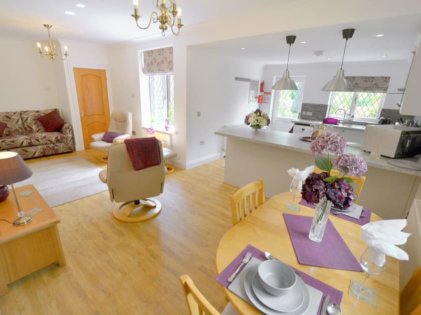 Open plan living space | Alice’s Lodge - New Forest Cottages, Picket Hill, near Ringwood