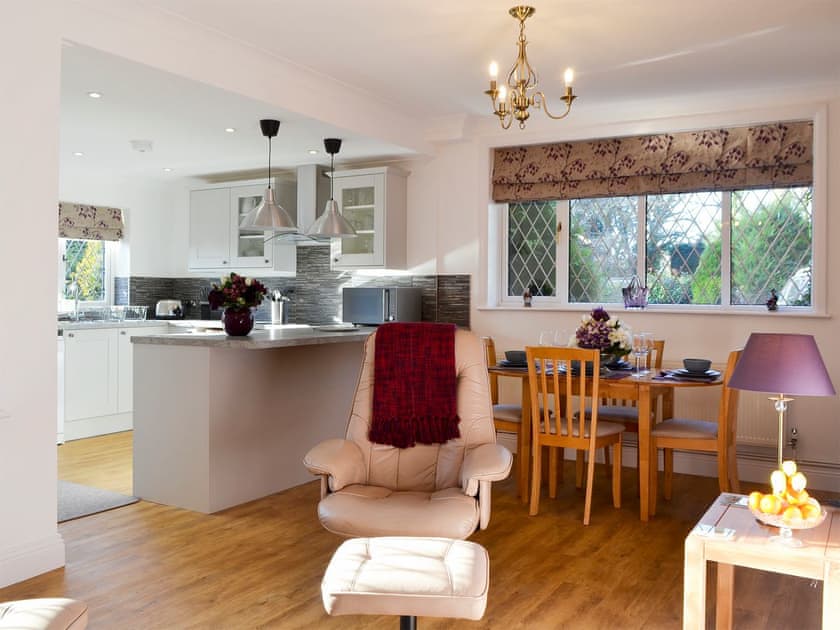 Open plan living space | Alice’s Lodge - New Forest Cottages, Picket Hill, near Ringwood