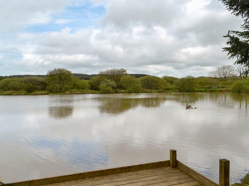 Carp fishing on-site  | The Brown House, Woolsery, near Bideford