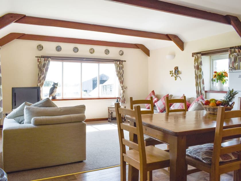 Welcoming open-plan living space | Owl’s Roost - Trentinney Farm Holiday Cottages, St Endellion, near Port Isaac