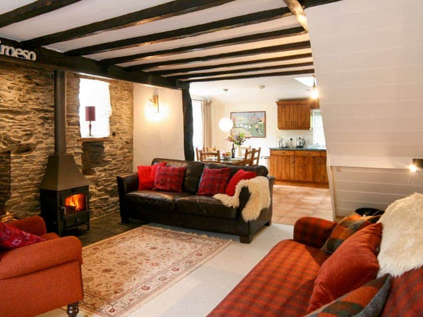 Living area with wood burner | Tyn Y Ffordd, Llanymawddwy near Dolgellau