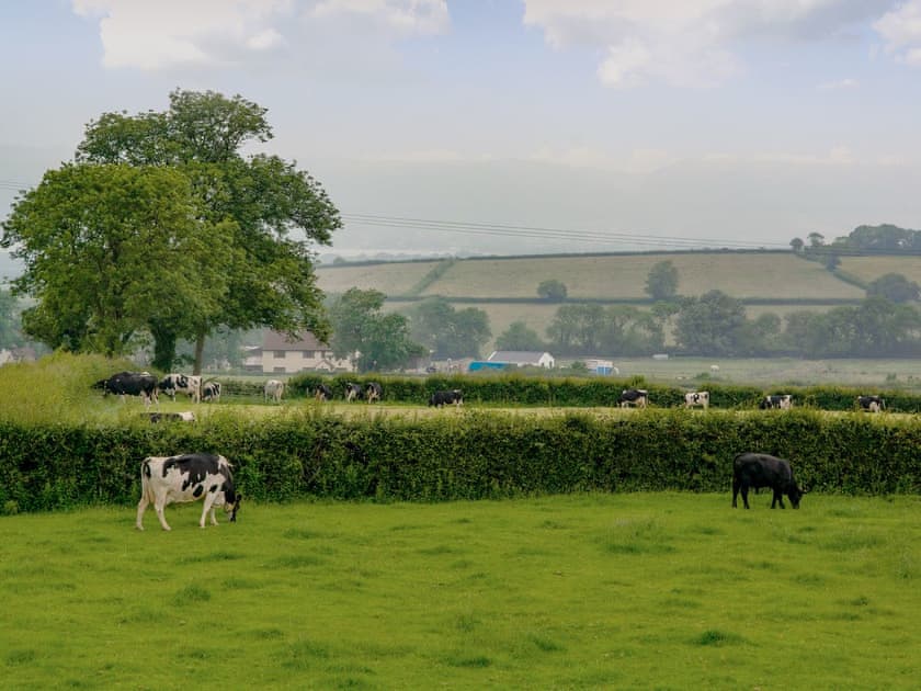 View | The Sett, Stone Allerton, near Cheddar