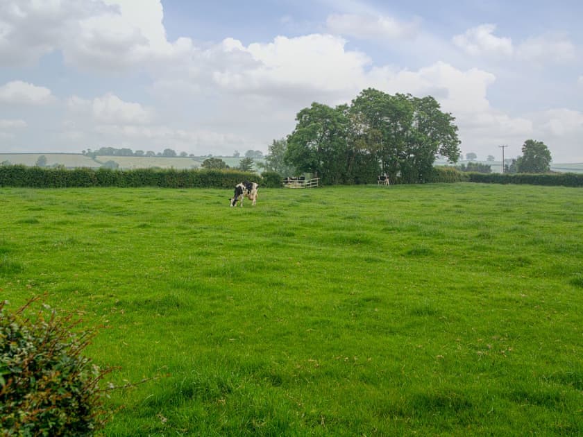 View | The Sett, Stone Allerton, near Cheddar