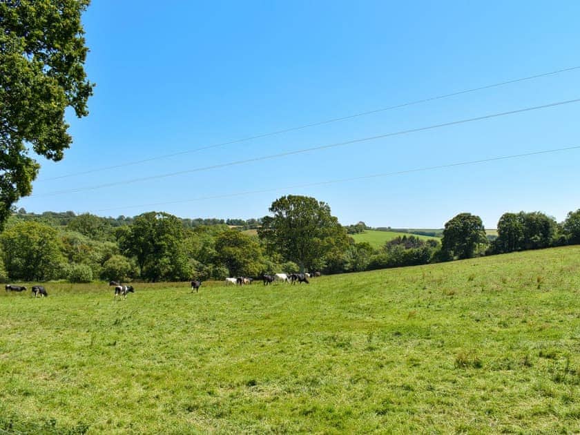 Countryside views | The Oaks - Trecan Farm Cottages, Lanreath, near Looe