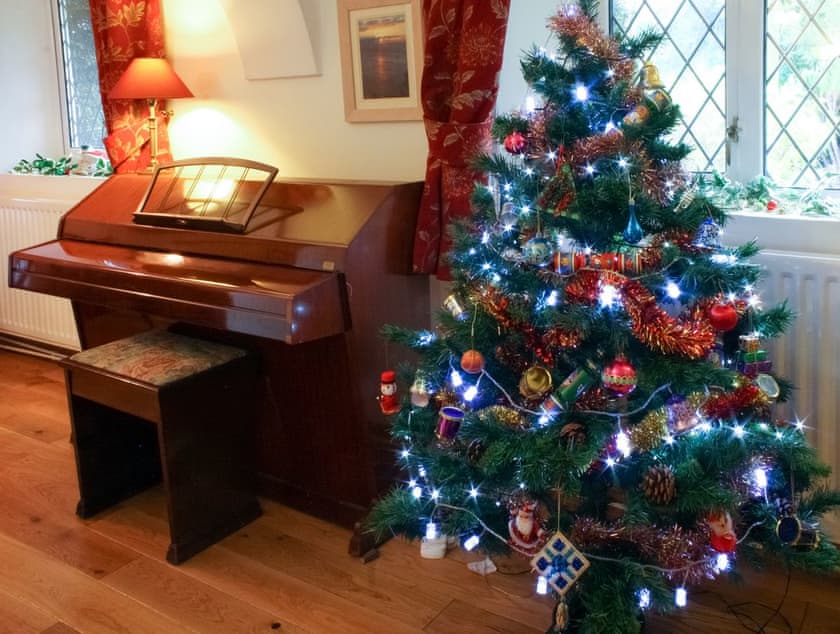A decorated tree throughout the festive season | Churchview House, Winterbourne Abbas, near Dorchester