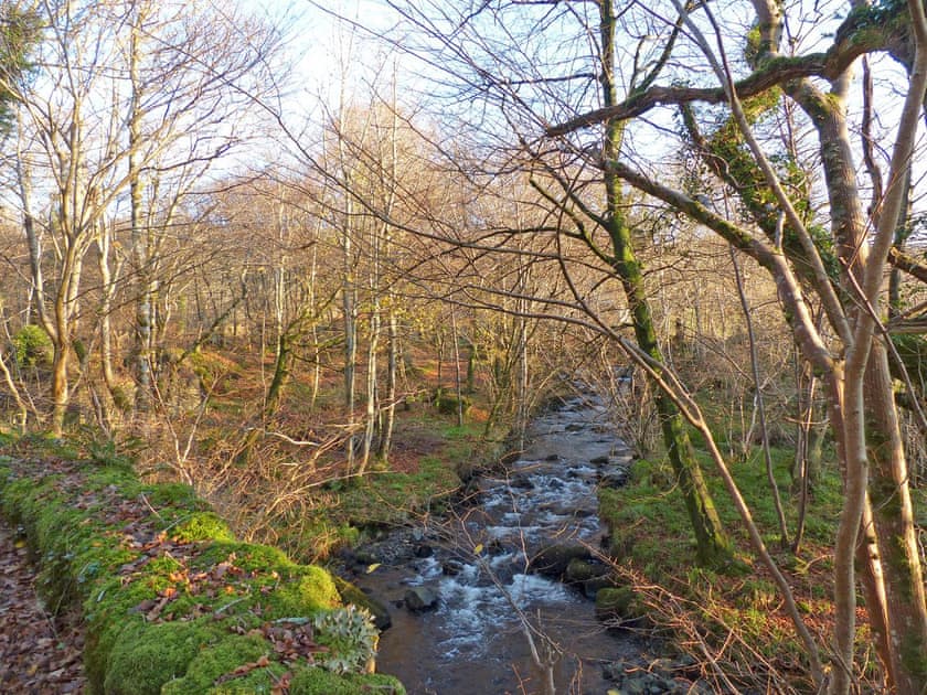 Mungasdail river in autumn | Seaview Cottage, Drimnin, near Lochaline