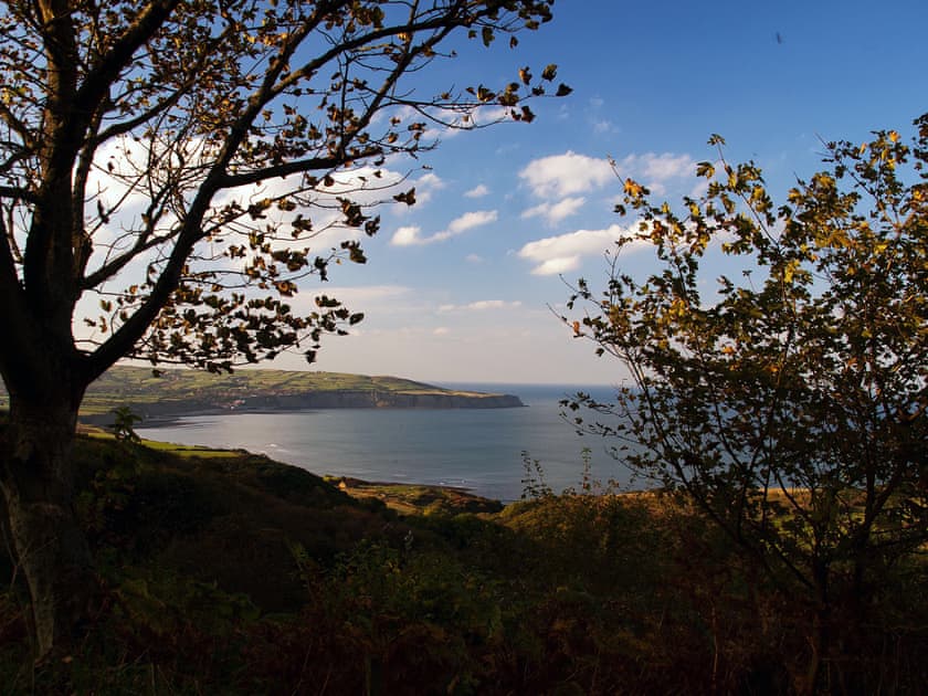 Lovely walks in beautiful scenery  | The Yorkshireman, Ravenscar, near Robin Hoods Bay