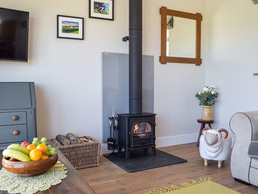Living room with wood burner | Bwthyn Y Bugail, Abercych, near Cardigan