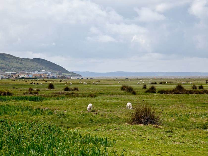 Stunning surrounding area | Britannia Way, Westward Ho!