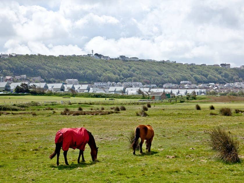 Attractive surroundings | Britannia Way, Westward Ho!