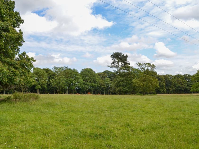 View | End Cottage, Tibthorpe, near Driffield 